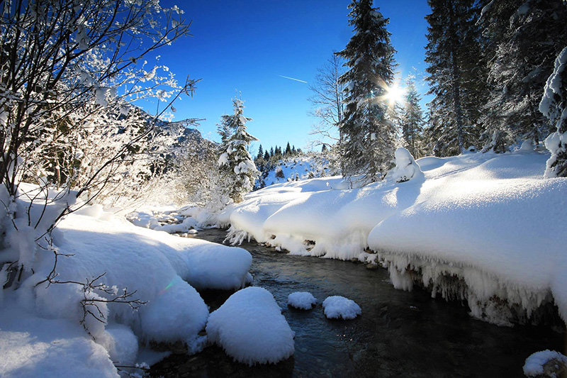 Tiroler Winterzauber im Gschnitztal