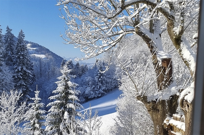 Allgäuer Wintergenuss in Oberstaufen